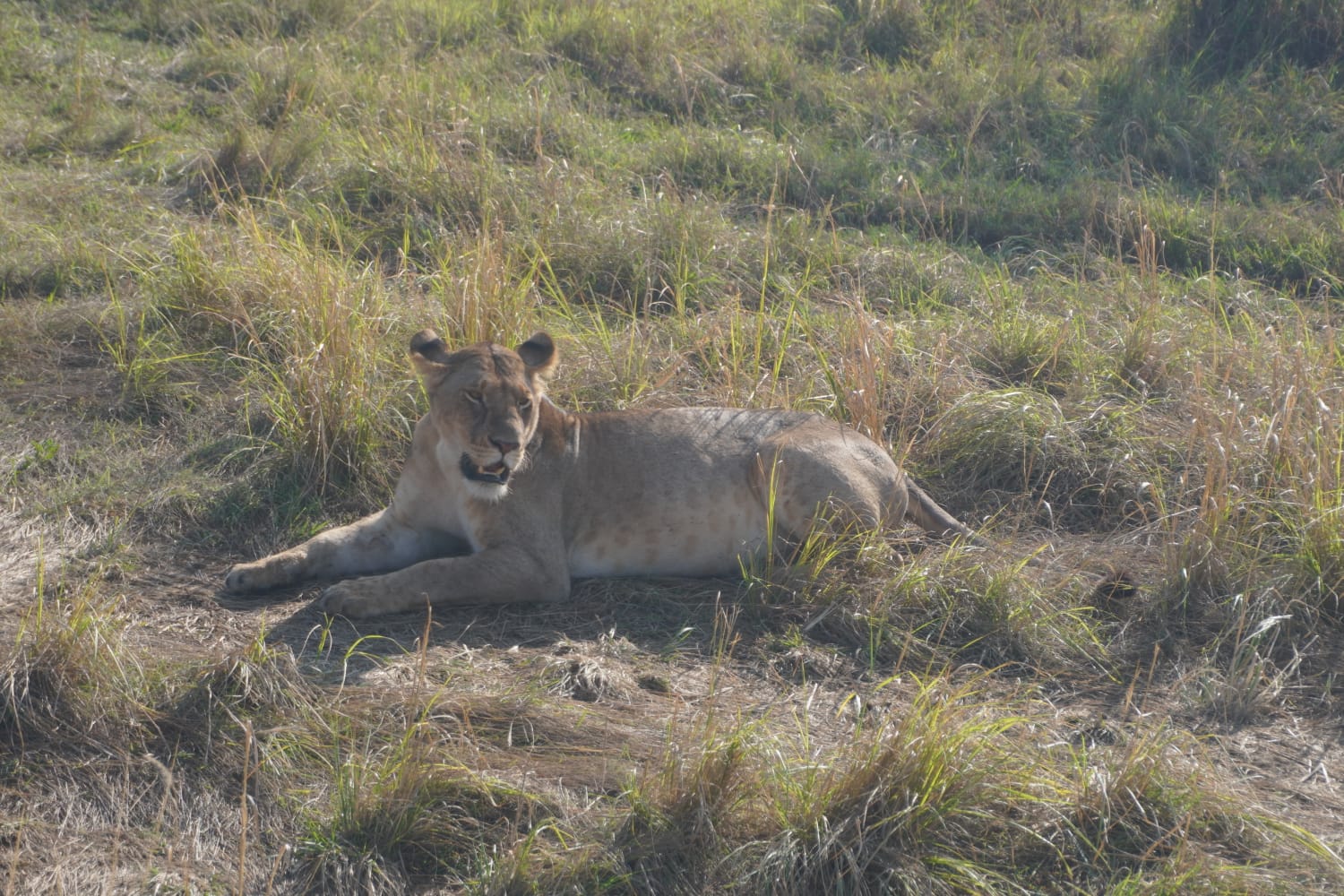 4 Days Tsavo East, Tsavo West & Amboseli