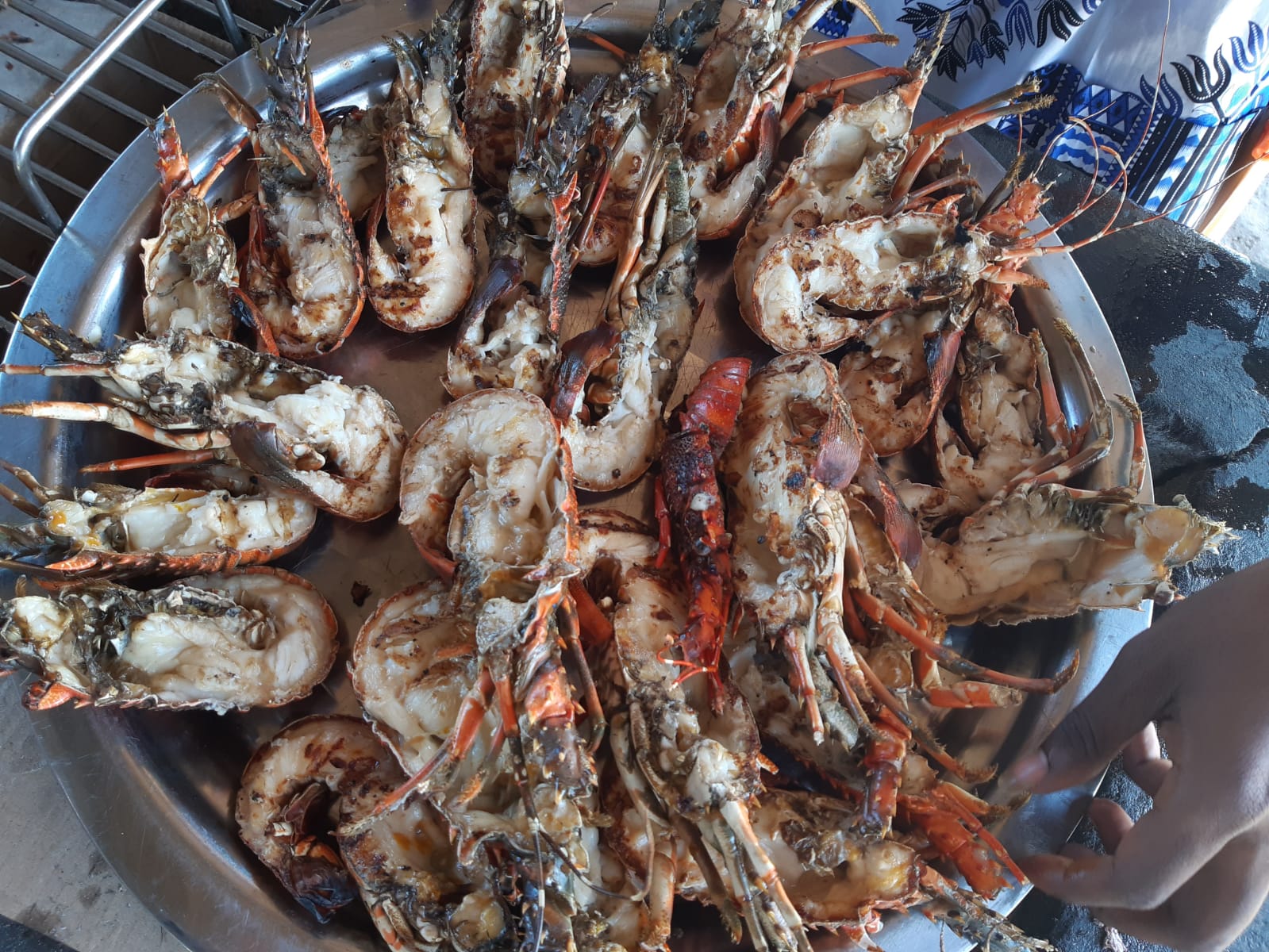 Snorkeling, Blue Safari and Barbecue - Full Day